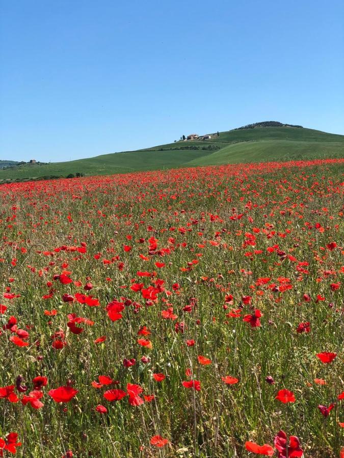 Agriturismo Poggio Tobruk Villa Pienza Exterior photo