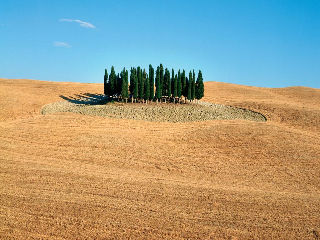 Agriturismo Poggio Tobruk Villa Pienza Exterior photo